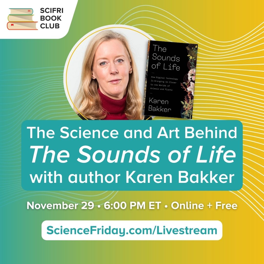 Event promotional image. In top left corner, SciFri Book Club logo, with event info below: The Science and Art Behind The Sounds of Life with author Karen Bakker. November 29, 6:00pm ET, Online and Free. Science Friday.com/Livestream. The background features a blue to yellow gradient color block with undulating white lines, and a photo of the author, a white woman with blonde hair looking kindly at the camera, next to the cover of her book, THE SOUNDS OF LIFE.