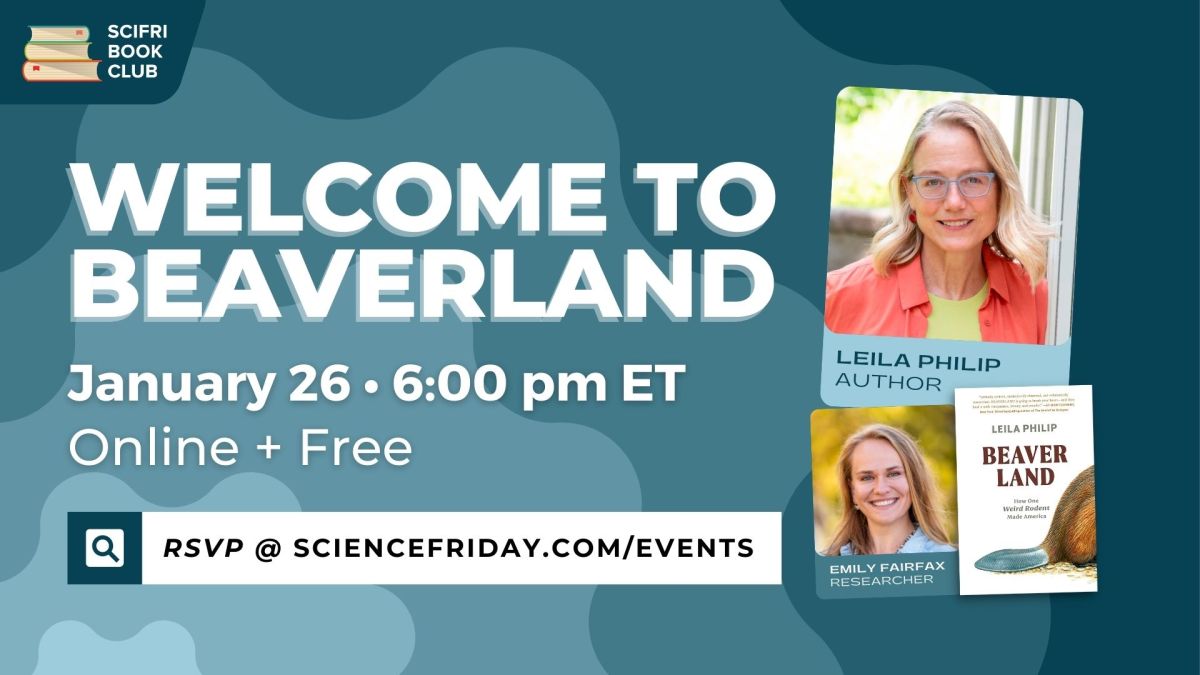 Event promotional image. In top left corner, SciFri Book Club logo, with event info below: Welcome to Beaverland, January 26, 6:00pm ET, Online and Free, with the URL: ScienceFriday.com/Events. On the left, two images of women smiling at the camera (Leila Philip, author, and Emily Fairfax, researcher), and the cover of her book, BEAVERLAND, to the right.