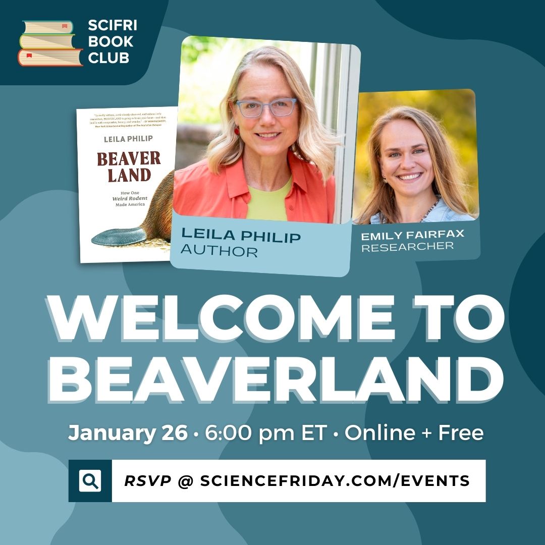 Event promotional image. In top left corner, SciFri Book Club logo, with event info below: Welcome to Beaverland, January 26, 6:00pm ET, Online and Free, with the URL: ScienceFriday.com/Events. Above, two images of women smiling at the camera (Leila Philip, author, and Emily Fairfax, researcher), and the cover of her book, BEAVERLAND, to the left.