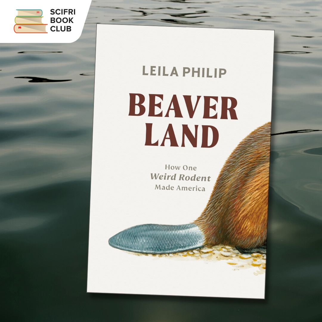The cover of BEAVERLAND by Leila Philip overlayed over an image of dark rippled water.