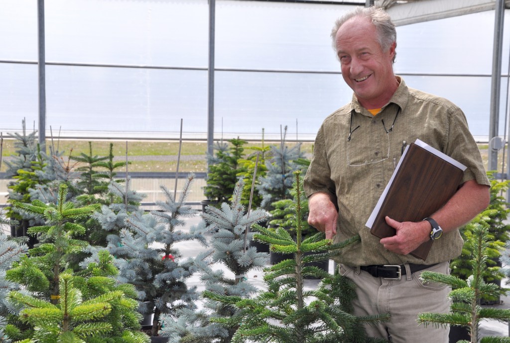 a man smiling at christmas tree saplings