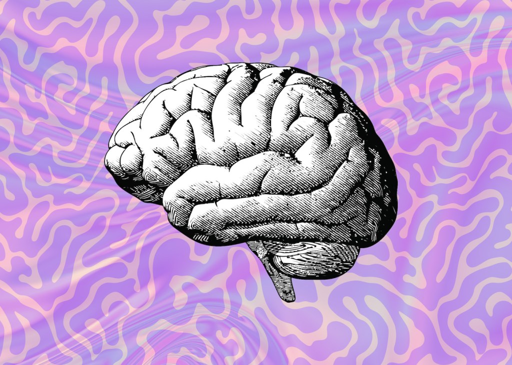 A brain illustration over a wavy purple background