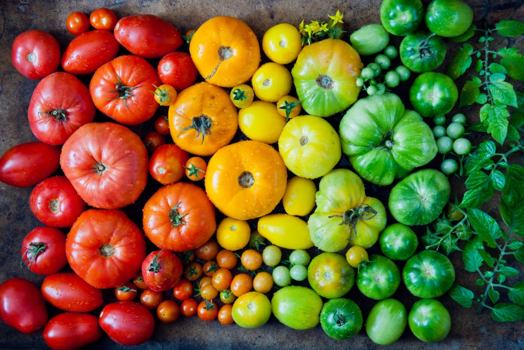 An assortment of tomatoes in a range of colors, organized by color. 
