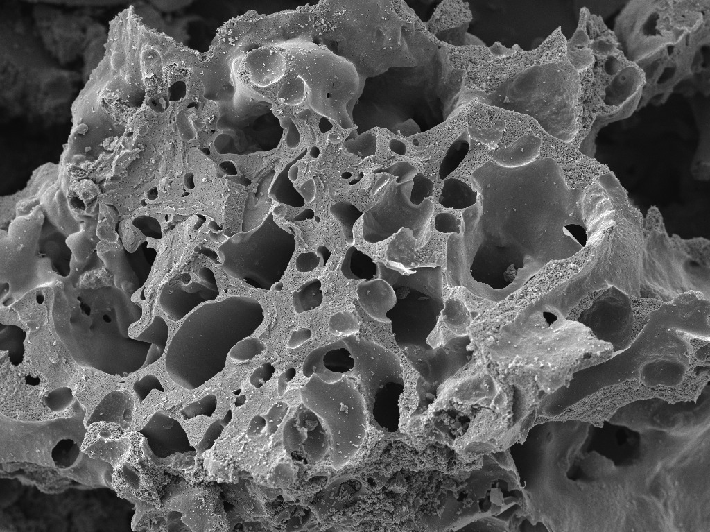 electron microscopy image of activated carbon formed from corn waste. it looks like very porous rock, dotted with large and small holes