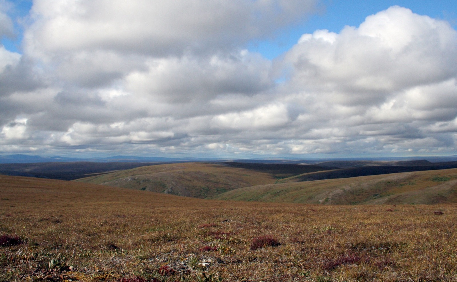 a landscape shot of low rolling hills as far as the eyes can see. clouds dot the blue sky