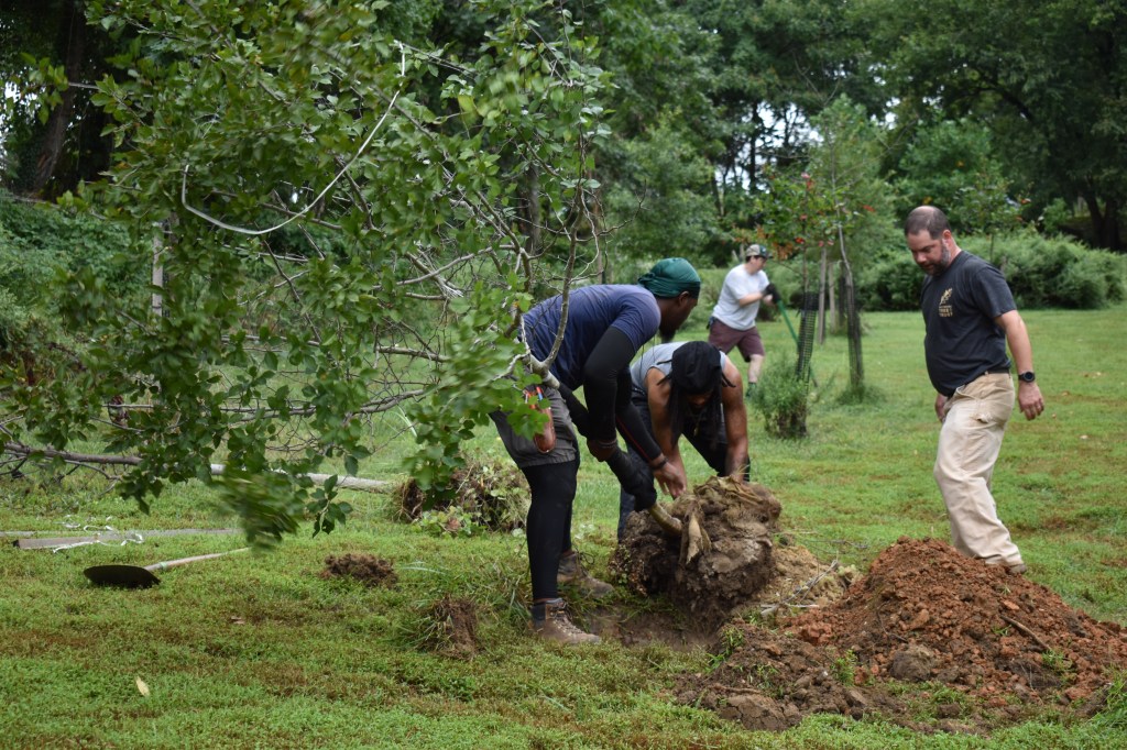 Three men planting a tree sapling into a hole in a park.
