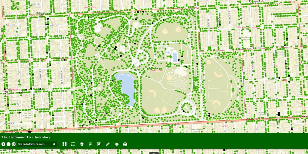 A city grid with green blobs on the streets that represent trees.