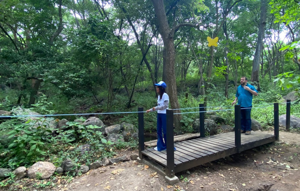 Two people walking forward, holding onto a rope on the side of a small bridge in a thick forest. 