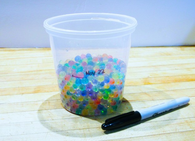 Expanded water beads are shown in a plastic container. There is a mark with the date, November 22, showing the volume of the beads at the start of the experiment.