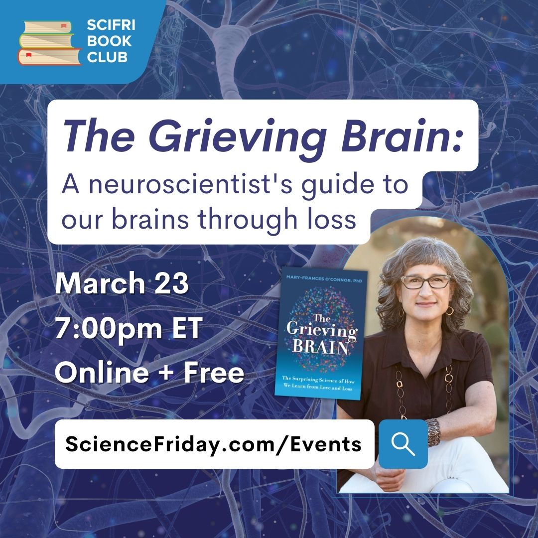 Read 'The Grieving Brain' With The SciFri Book Club