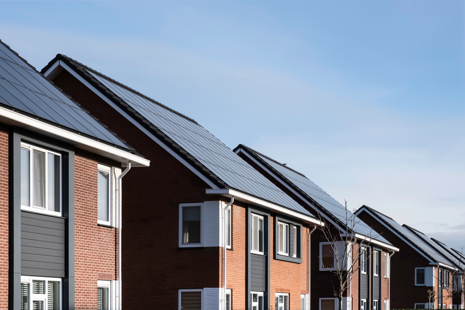 a row of four modern-looking simple two-story houses. each roof is covered in solar panels