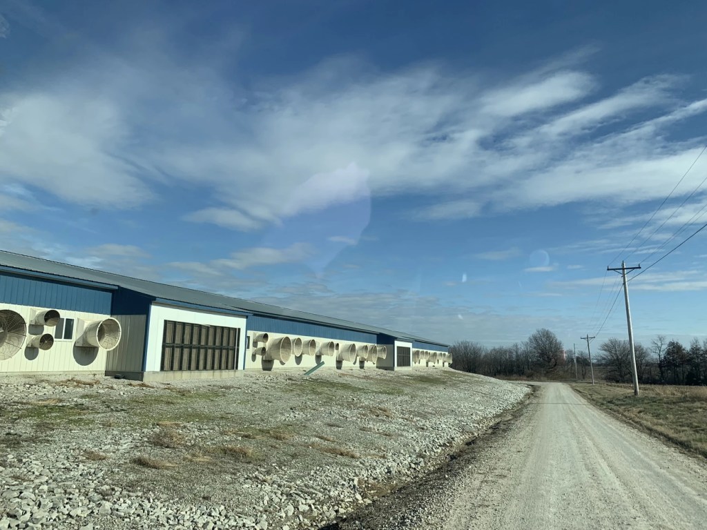 Huge industrial fans stretch out along a rural road as far as the eye can see. 