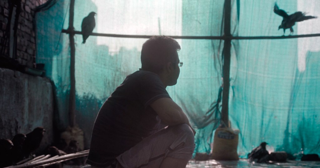 A man sits in a darkened room with birds fluttering overhead. 