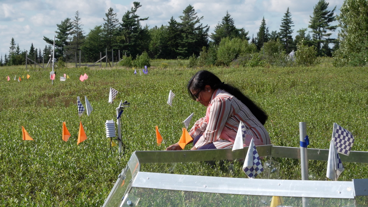 Community Science - Science Friday