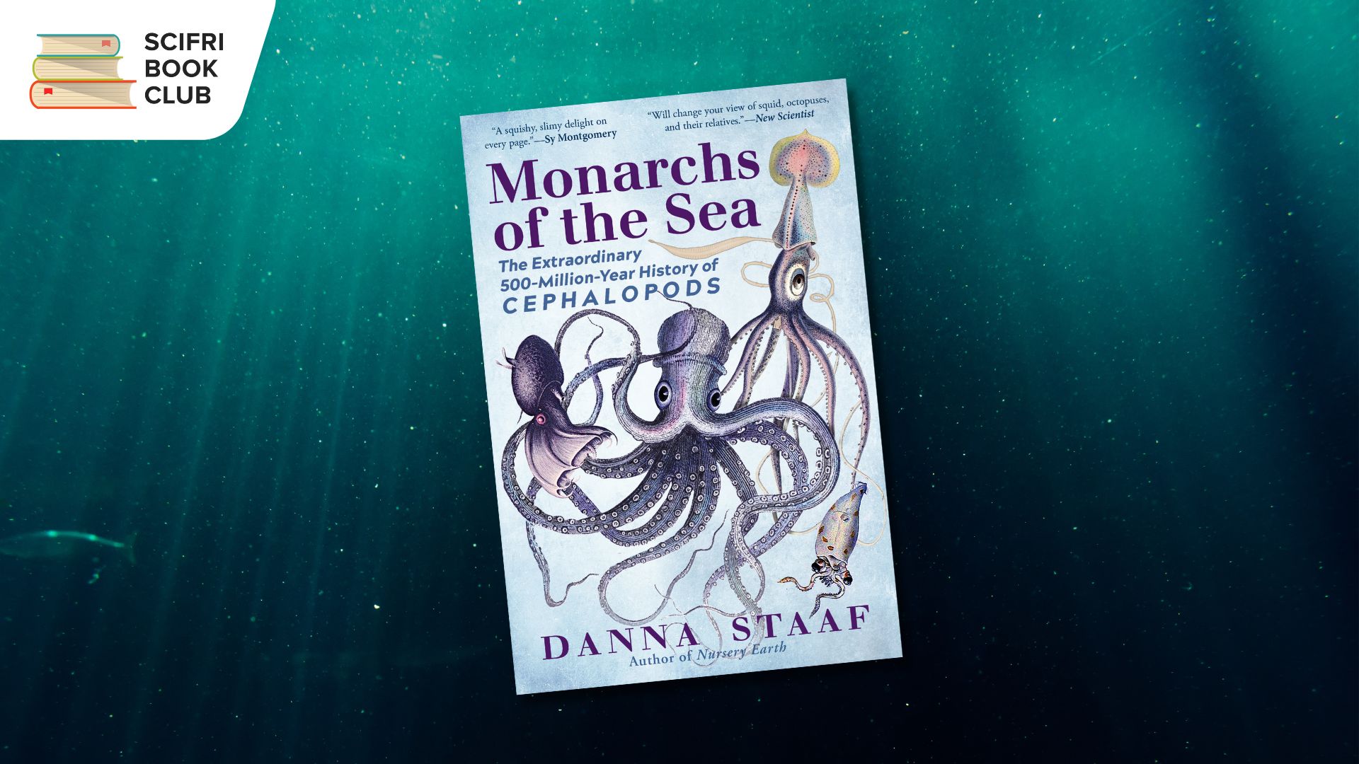 The cover of MONARCHS OF THE SEA by Danna Staff, which features four different illustrations of squid and octopuses. The background is light filtering through a dark green ocean with bubbles and ocean matter floating around.