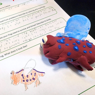 Design a Frog worksheet filled out with student input and a sketch. A clay frog sits next to the sketch.