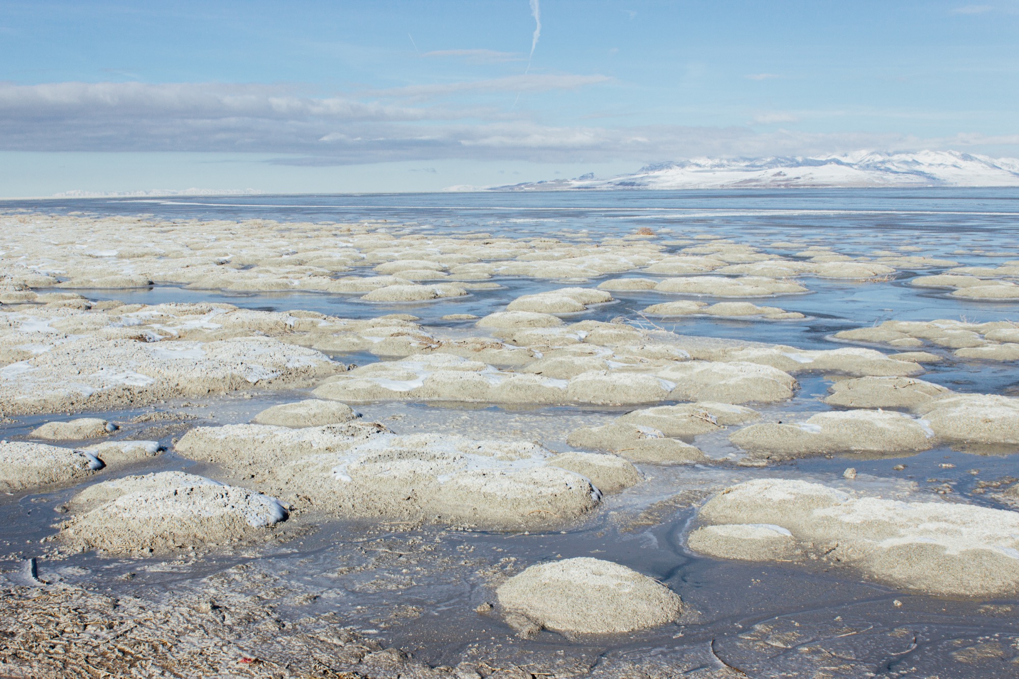 great salt lake microbialite communities