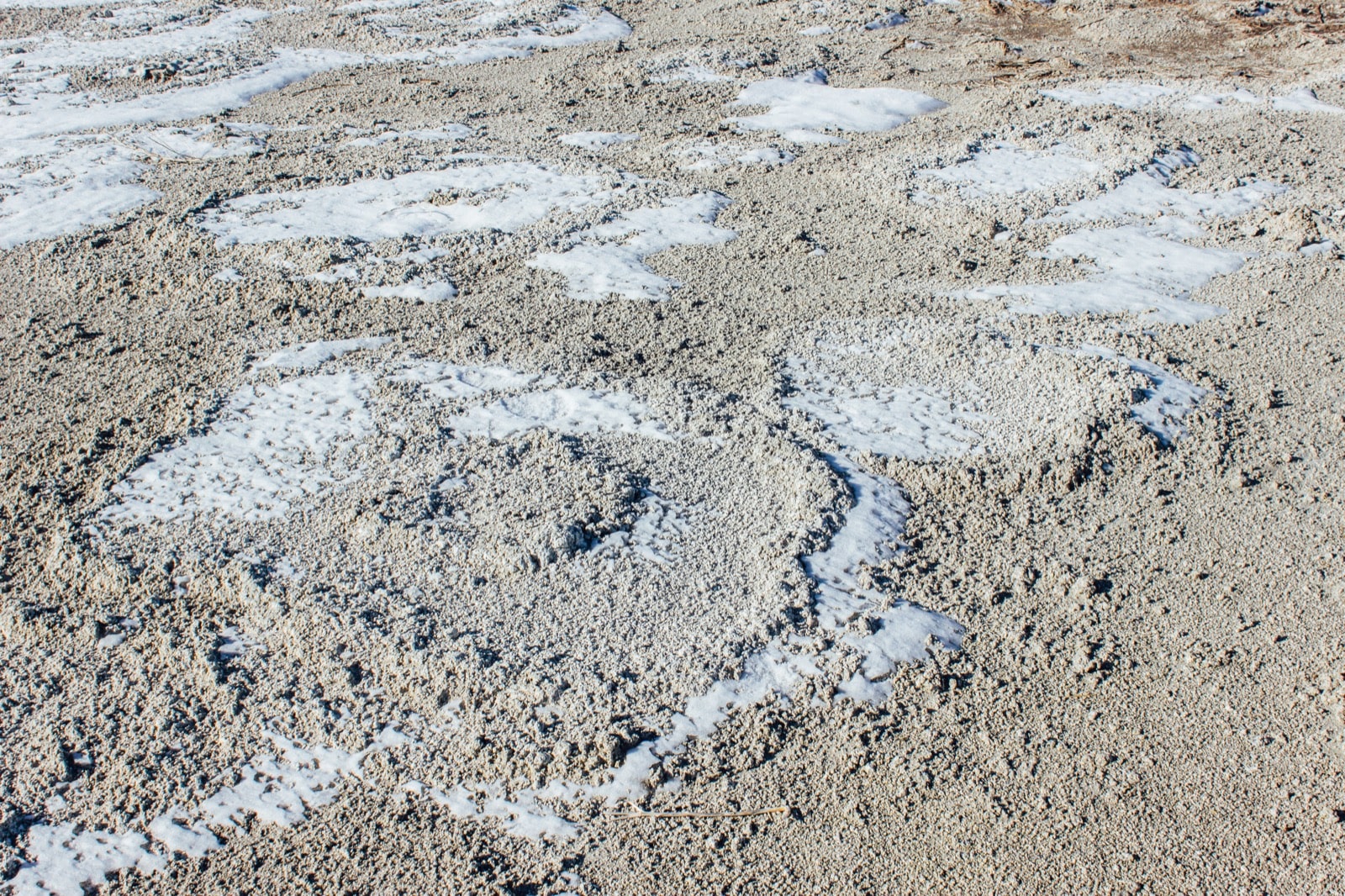 older washed away dry microbialitie communities at the Great Salt Lake Utah