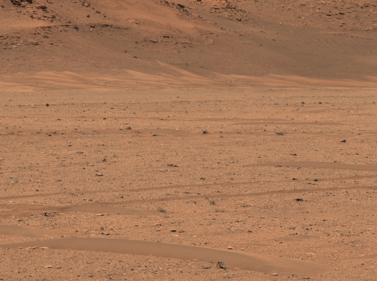Reddish brown sand forms a desert landscape littered with rocks.