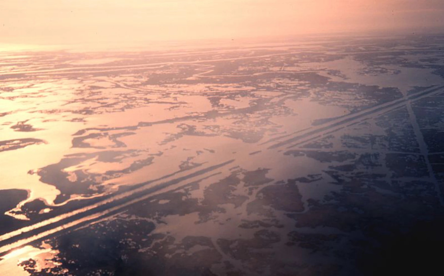 A bird's eye view of Mississippi river marshes