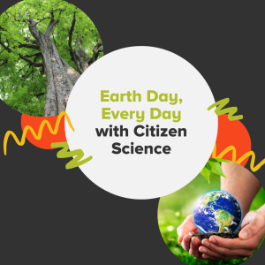science project experiments An illustration with a black background featuring a photo of a tree and photo of a person holding the Earth in their hands and decorated with abstract orange, green, and yellow elements.