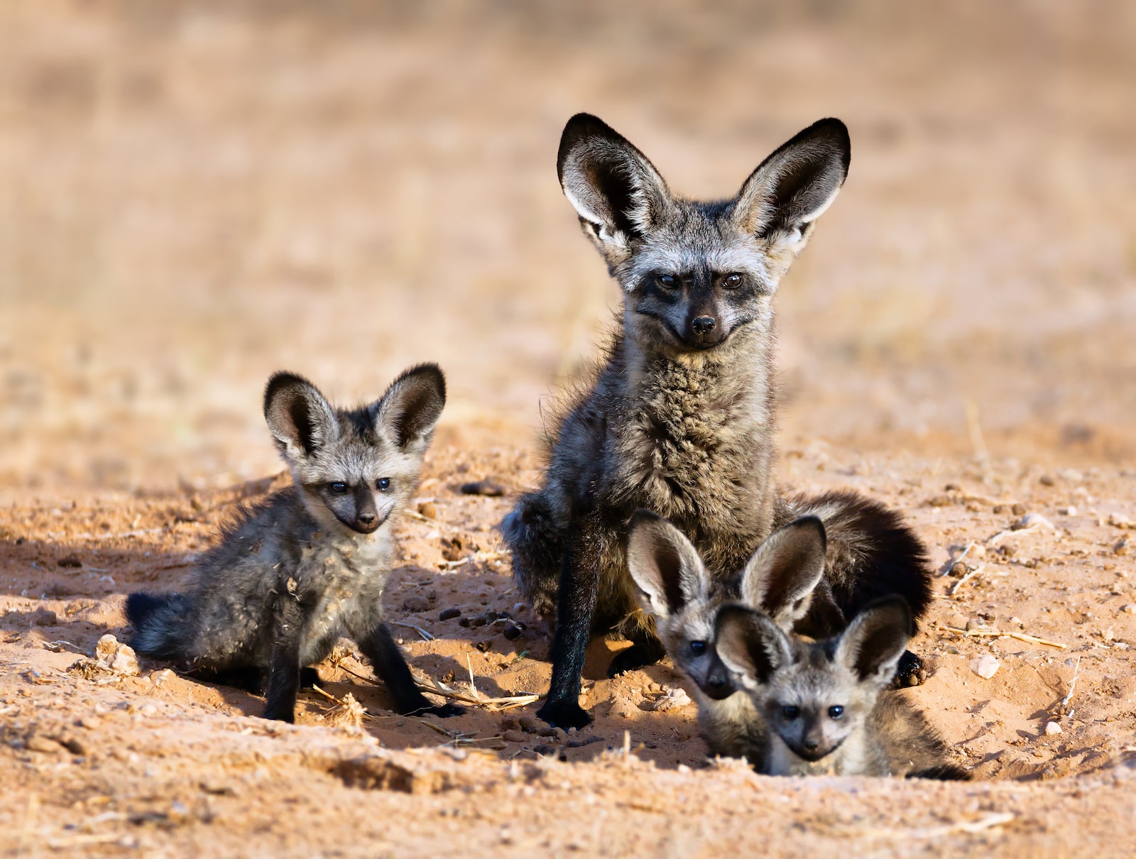 Bringing The Mammals To March Madness