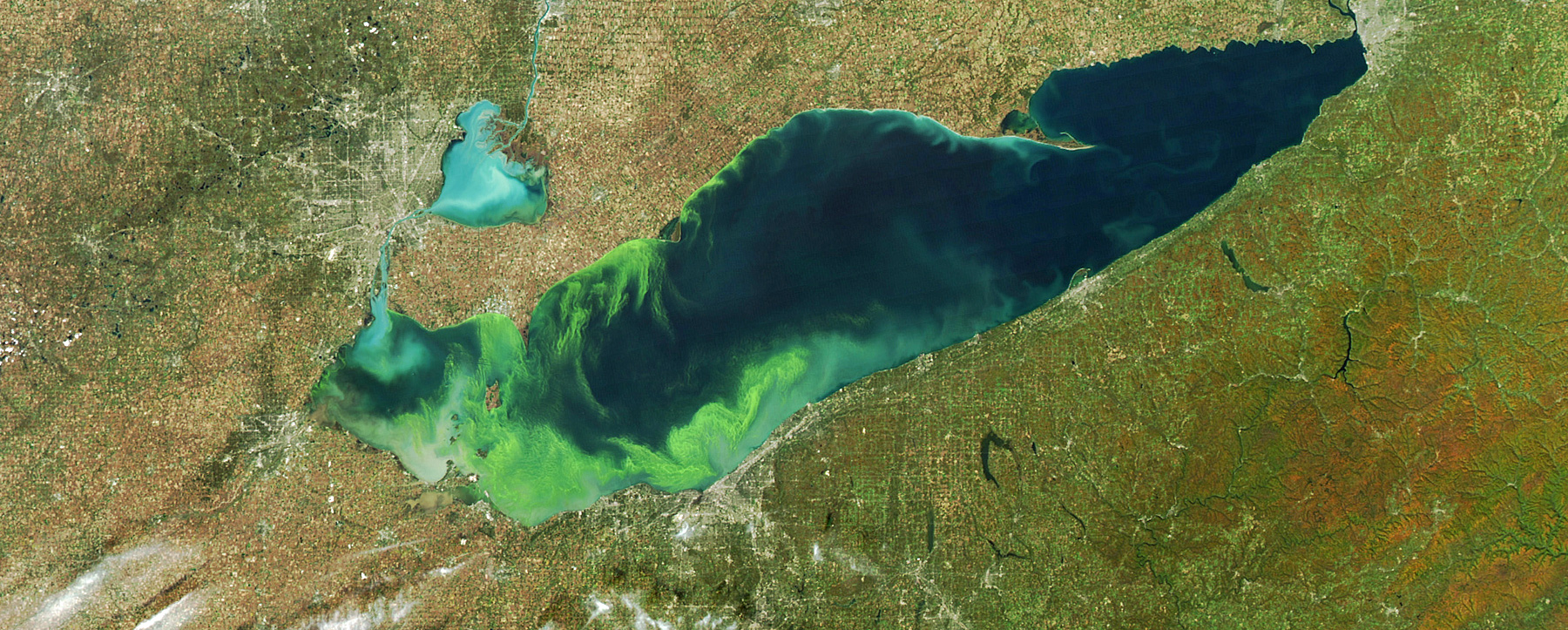a satellite view of long body of water, lake erie, revealing unusual neon green waste flowing along the coastline. the green is an algae bloom propelled by phosphorous from fertilizer and waste