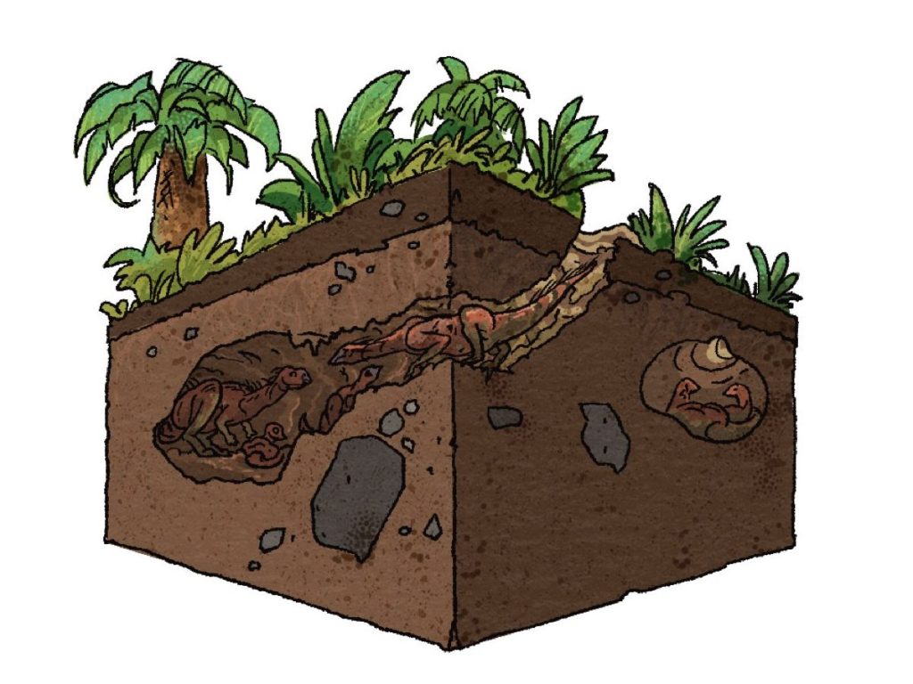 A cutaway view of the earth below the surface reveals a small lizard-like dinosaur descending into a burrow with two juveniles.