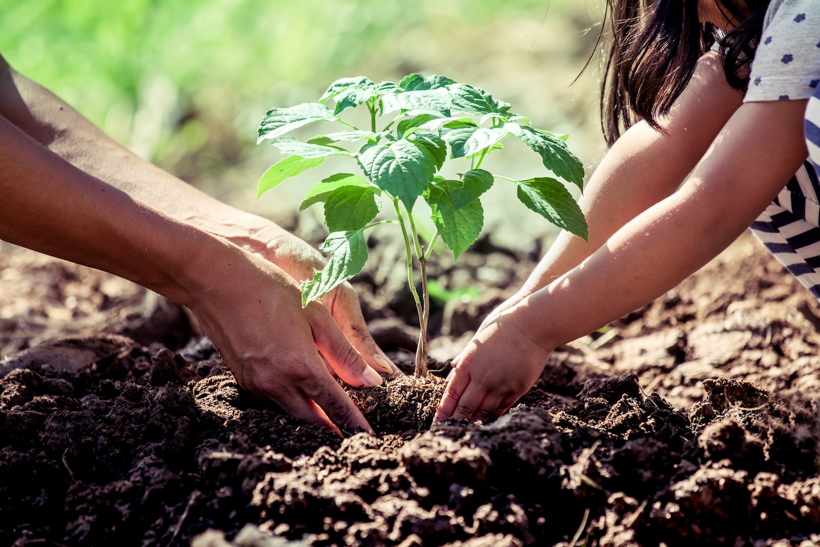 Meet The Activist Reimagining Climate Education - Vimarsana News