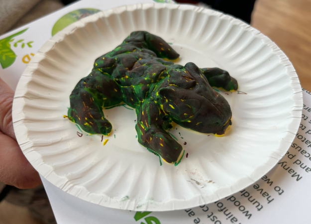 A frog with alligator coloring modeled out of clay.