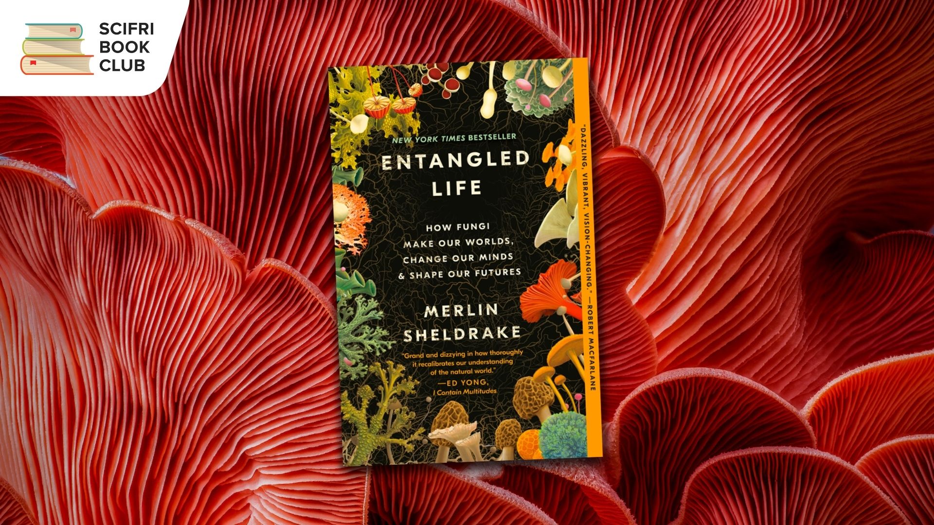 The book cover of ENTANGLED LIFE by Merlin Sheldrake with a background featuring the gills of a bright red mushroom. The logo for the SciFri Book Club is in the top left corner.