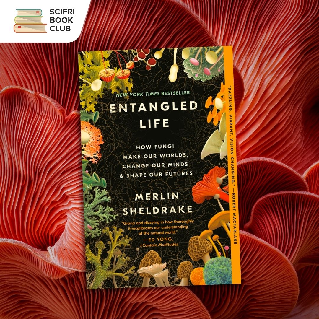 The book cover of ENTANGLED LIFE by Merlin Sheldrake with a background featuring the gills of a bright red mushroom. The logo for the SciFri Book Club is in the top left corner.