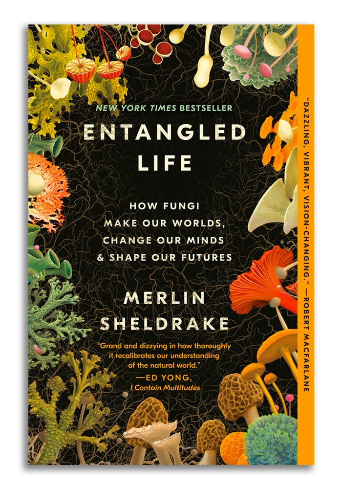 Book cover for Entangled Life: How Fungi Make Our Worlds, Change Our Minds & Shape Our Futures by Merlin Sheldrake, featuring a dark background with a border of multicolored fungi species