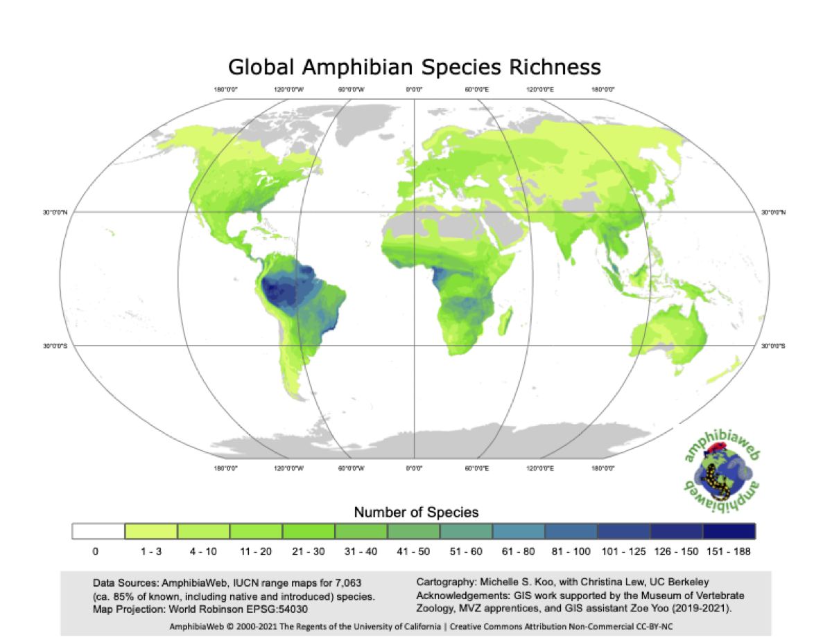 A world map showing areas of green and blue denoting the number of species of amphibia in various locations. Dark blue representing the most species, is concentrated in South America near the equator, but areas of light green, denoting 1-3 species, cover much of the world.