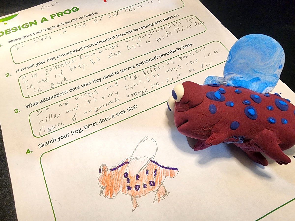 Design a Frog worksheet filled out with student input and a sketch. A clay frog sits next to the sketch.