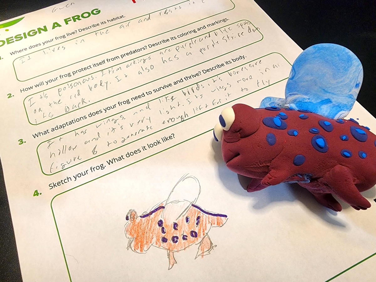 Design a Frog worksheet filled out with student input and a sketch. A clay frog sits next to the sketch.