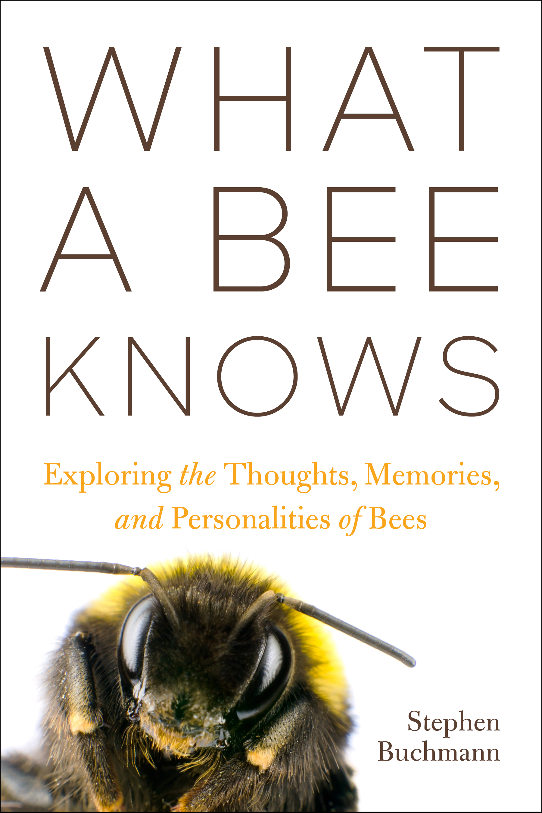 Cover of "What A Bee Knows" Book