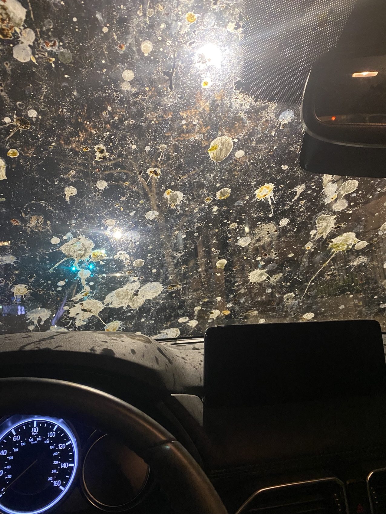 a photo taken from the inside of a car at night. the window is covered in bird poop