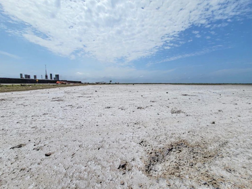 Particulate matter found nearly coating the mudflats north of SpaceX's launch pad.