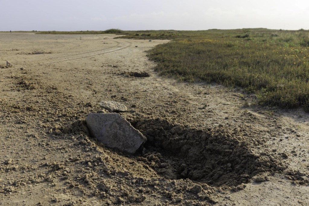 Concrete rests on protected wildlife land