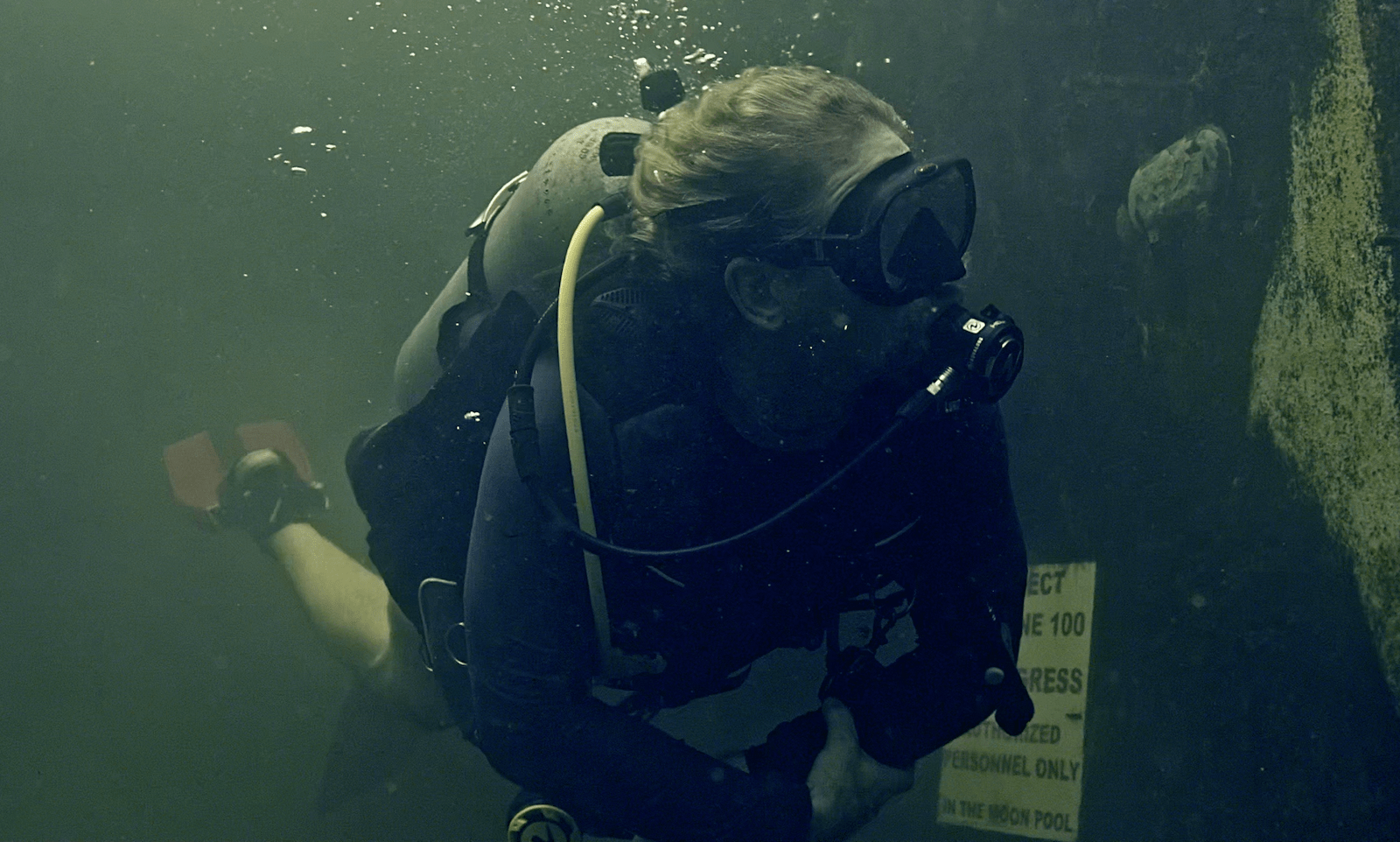 a scuba diver swimming in slightly greenish ocean water