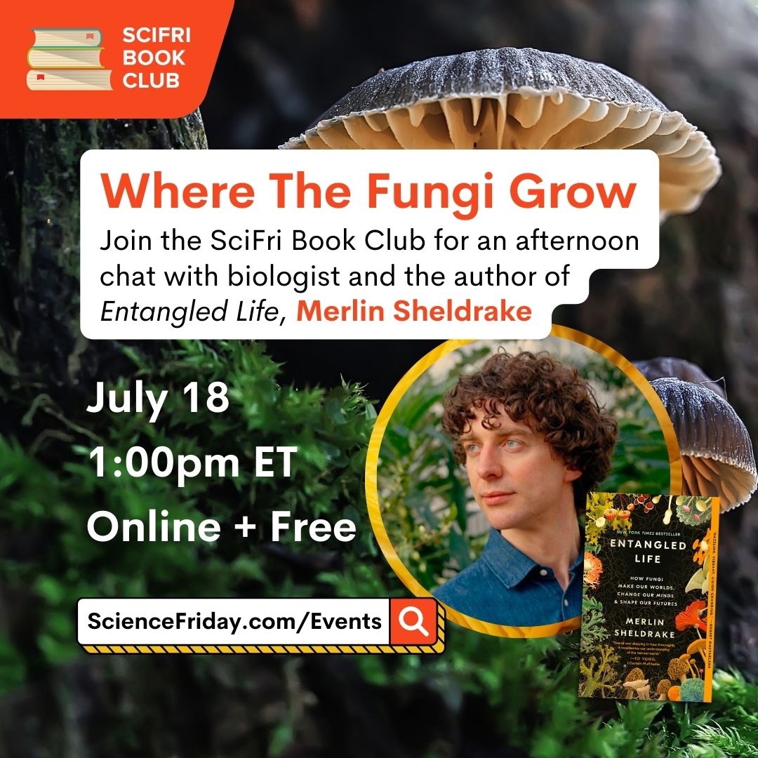 Event promotional image. In top left corner, SciFri Book Club logo, with event info below, which reads: Where The Fungi Grow. Join the SciFri Book Club for an afternoon chat with biologist and the author of 'Entangled Life', Merlin Sheldrake. July 18, 1:00pm ET, Online + Free, ScienceFriday.com/Events. To the bottom right of the frame is a picture of ENTANGLED LIFE book cover and a headshot of author Merlin Sheldrake, a white man with curly brown hair