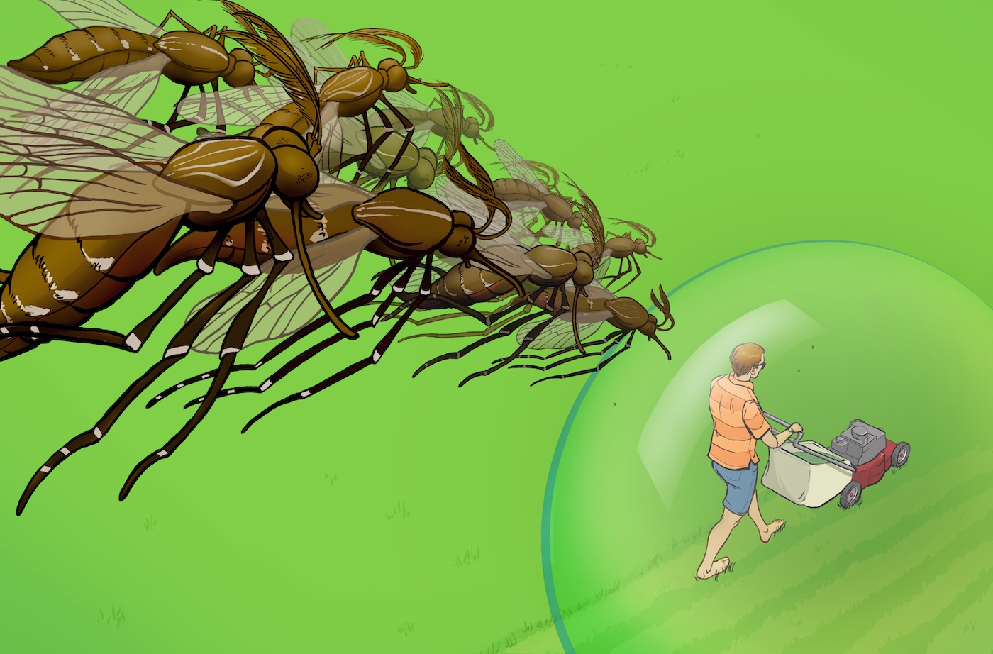 Mosquitos flying towards a man mowing a lawn. The man is surrounded by a protective bubble.