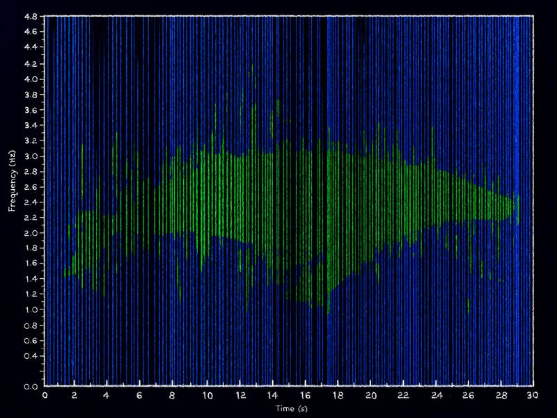 a sound frequency wave in the shape of a whale