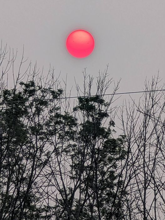 A bright red sub floats above trees in a grey sky.