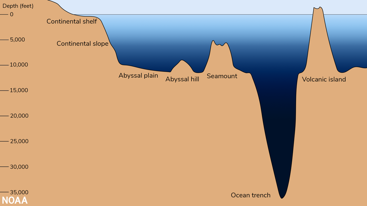 This graphic shows several ocean floor features on a scale from 0-35,000 feet below sea level.