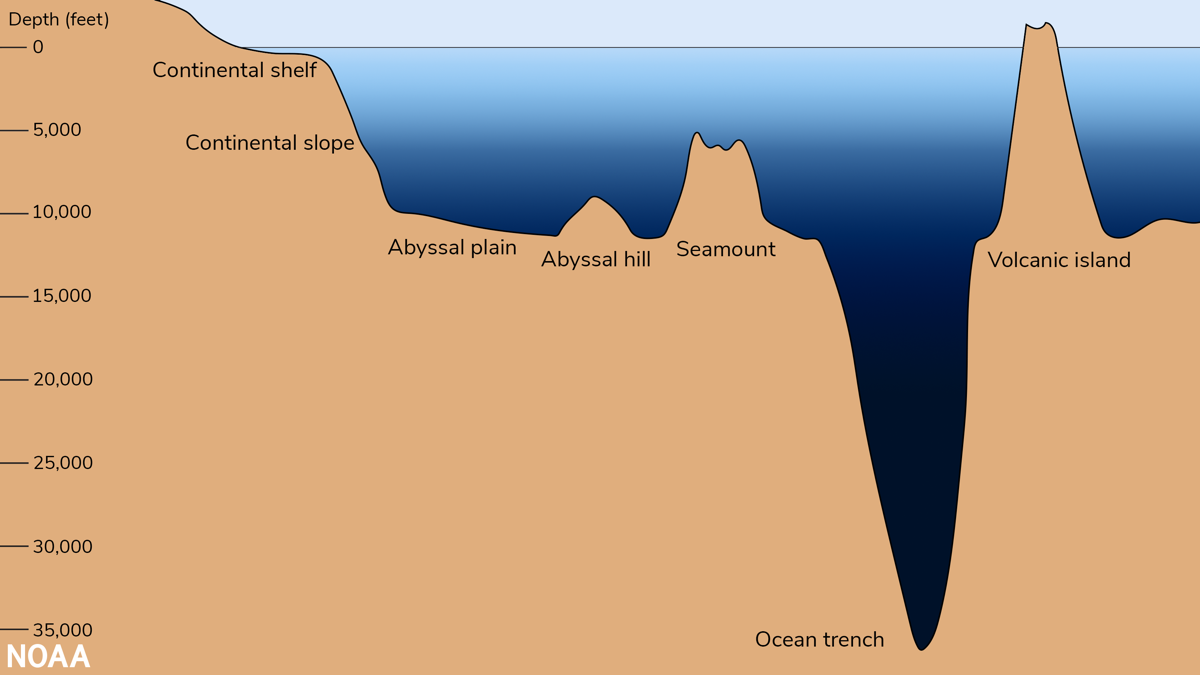 Looking For Life In The Deep Ocean - Science Friday