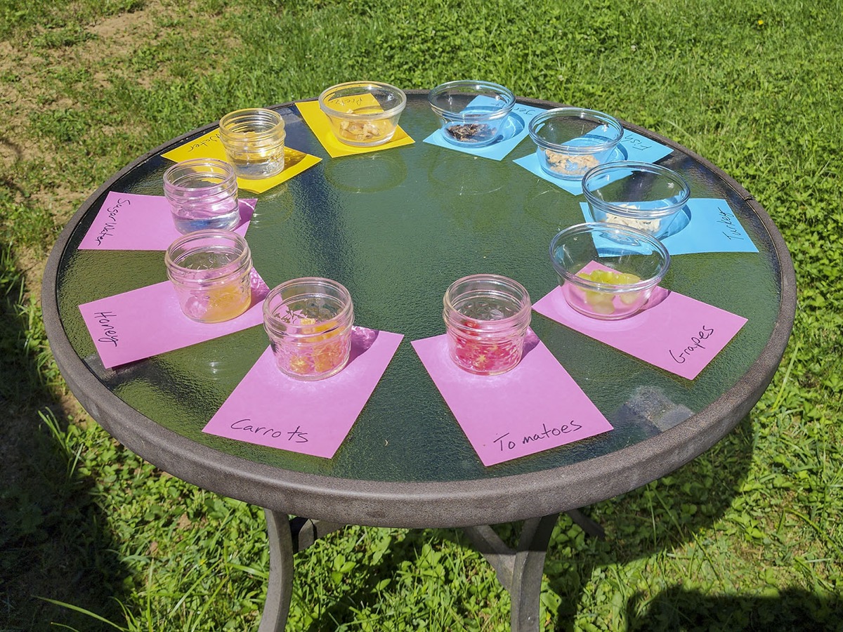 A small glass table set on a grassy lawn. On the table are small glass jars and dishes with different foods. Each is labeled.