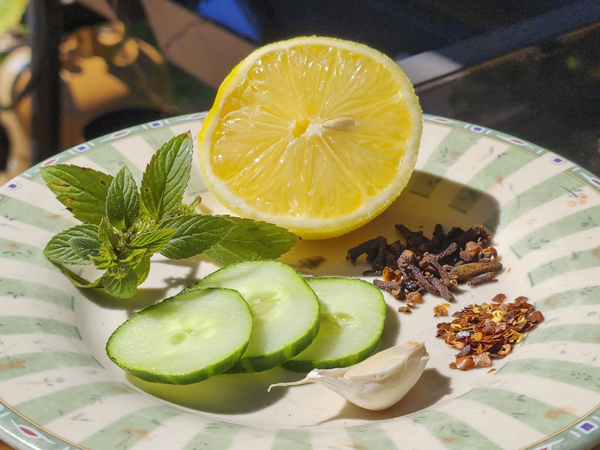 A ceramic plate with half a lemon, slices of cucumber, a clove of garlic, clove buds, red pepper flakes, and a sprig of mint on it.