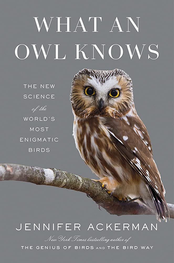 Cover of "what an owl knows" by Jennifer Ackerman. A small owl stands on a branch, looking toward the reader.